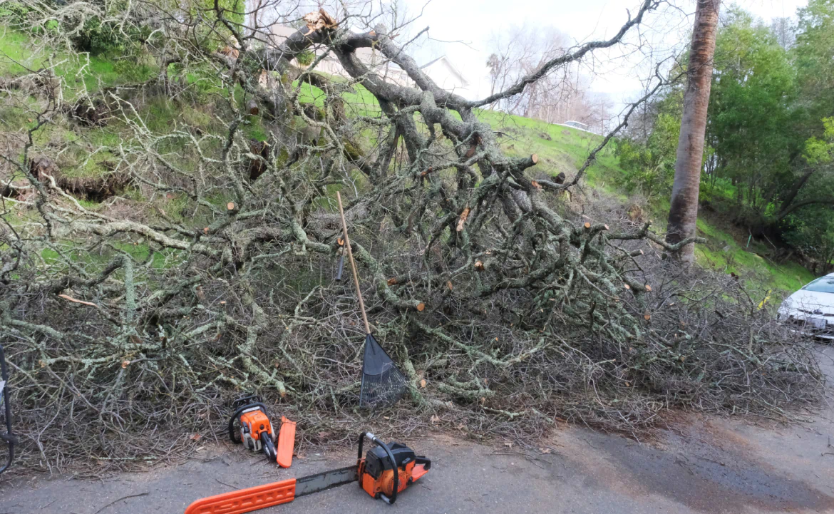 Storm damage cleanup sp 2