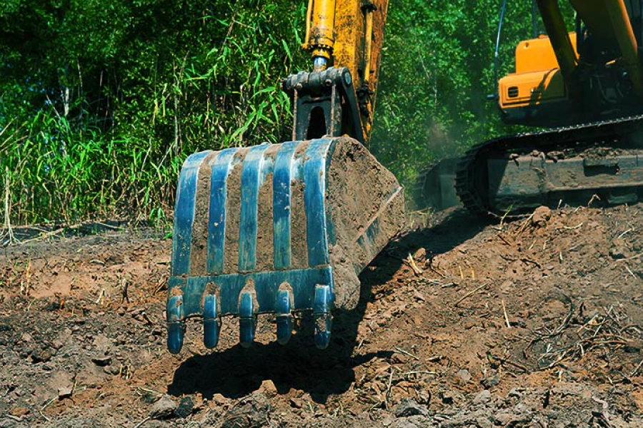 land clearing land clearing
